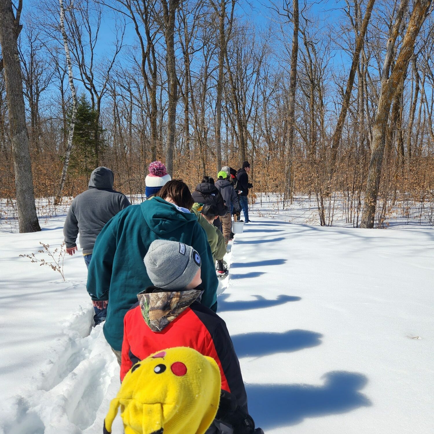 Families on White Earth gathered last spring to practice the language and learn about sugar bush.