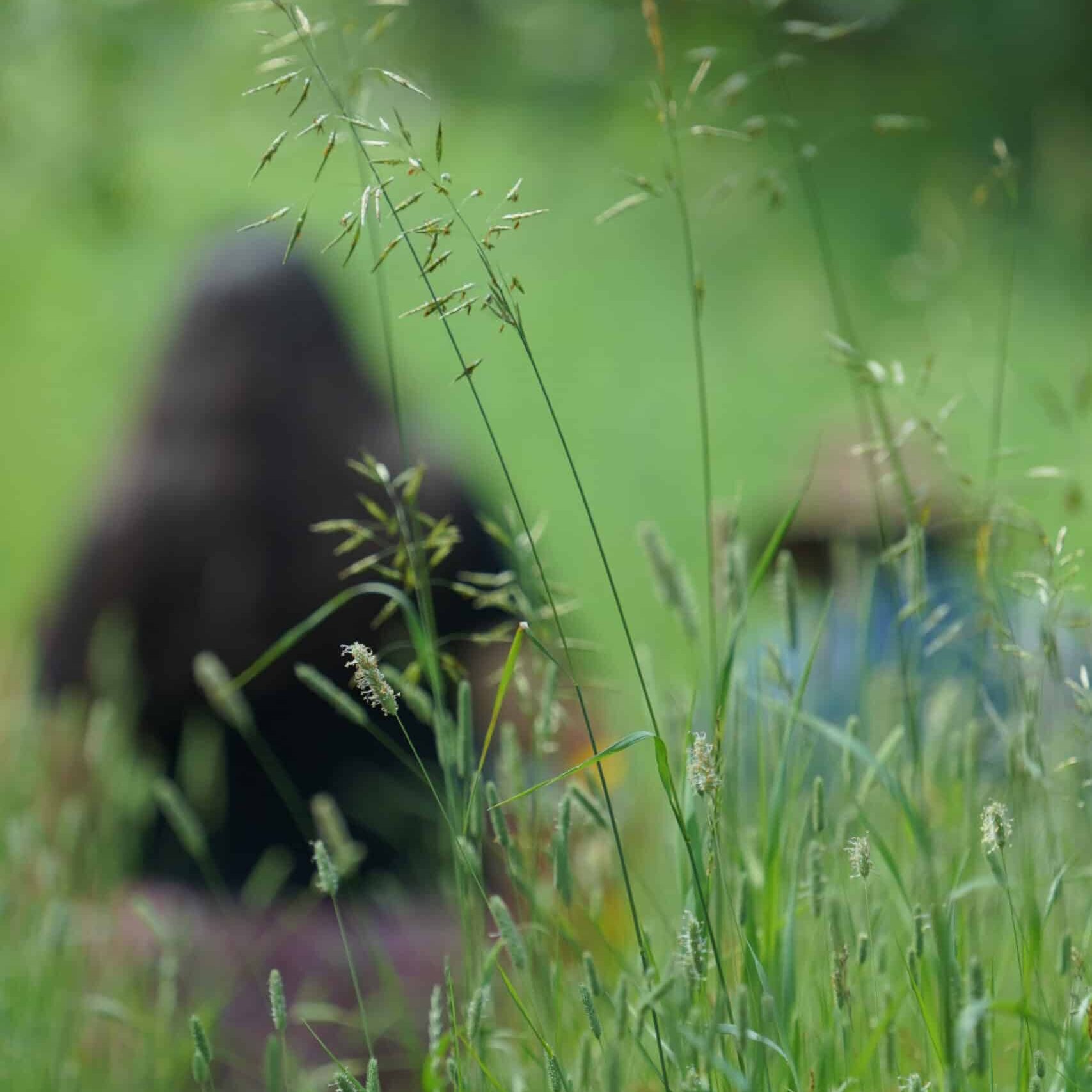 Indigenous mother and child in nature